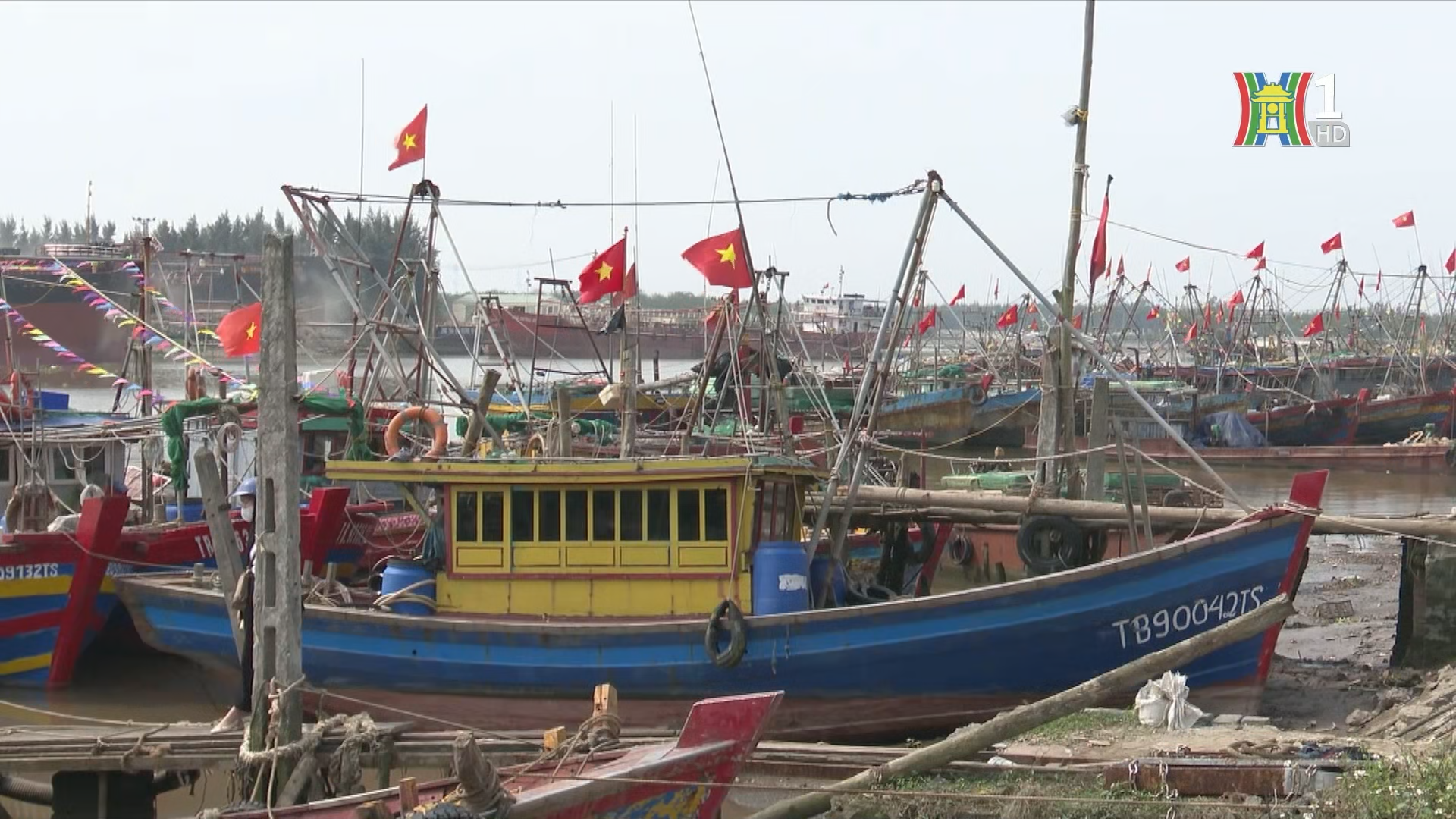 Tỉnh Ninh Bình đã chủ động các phương án ứng phó với phương châm 4 tại chỗ.